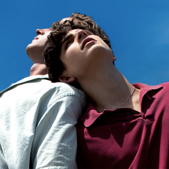 'Call Me By Your Name' no tendrá secuela cinematográfica de momento