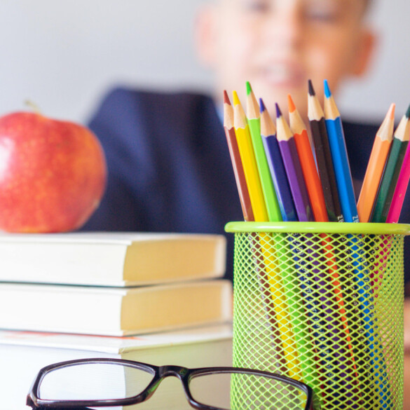 Derecho a la educación, derecho al trabajo