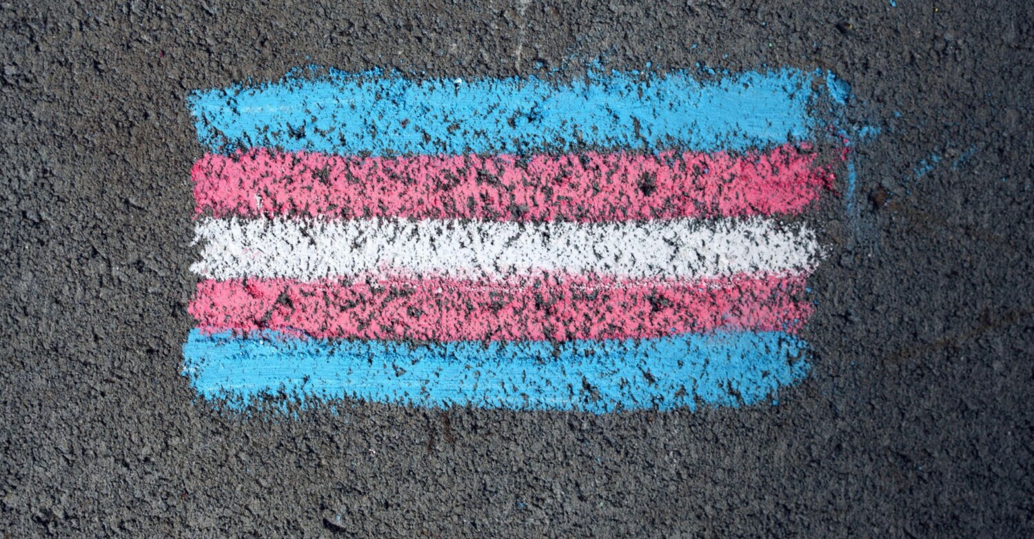 bandera trans